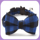 Collar-231